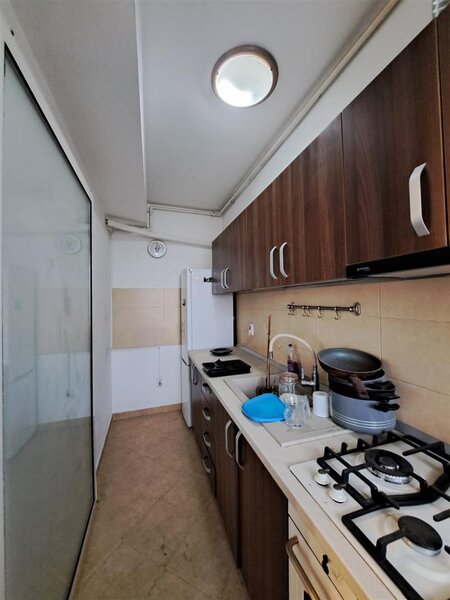 Bucurestii Noi, Damaroaia, Parc Bazilescu,